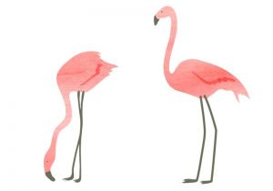 Coloriage De Flamant Rose Dessin origami Flamant Rose Flamant De Papier Rose D origami Photo