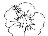 Coloriage De Fleur De Tahiti 6 Continents Amerique Page 2