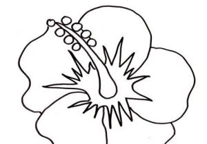 Coloriage De Fleur De Tahiti 6 Continents Amerique Page 2