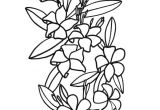 Coloriage De Fleur De Tahiti Fleurs Hawaienne Dessin