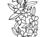 Coloriage De Fleur De Tahiti Fleurs Hawaienne Dessin