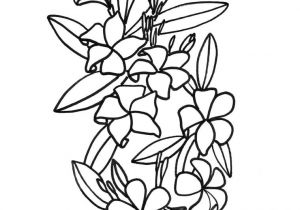 Coloriage De Fleur De Tahiti Fleurs Hawaienne Dessin