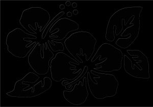 Coloriage De Fleur De Tahiti Fleurs Tahiti Dessin