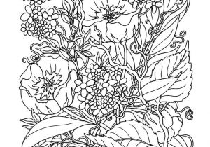 Coloriage De Fleurs à Imprimer Gratuit 87 Best Flowers Coloring Pages Images On Pinterest