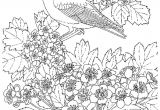 Coloriage De Fleurs à Imprimer Gratuit Dessins Gratuits   Colorier Coloriage Pour Adultes   Imprimer