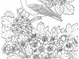 Coloriage De Fleurs à Imprimer Gratuit Dessins Gratuits   Colorier Coloriage Pour Adultes   Imprimer