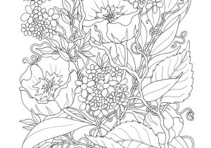 Coloriage De Fleurs à Imprimer Gratuit Les 64 Meilleures Images Du Tableau Colouring Pages Sur Pinterest