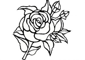 Coloriage De Fleurs De Rose Coloriage Rose Fleur Dessin