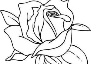 Coloriage De Fleurs De Rose Desenho De Rosas Para Colorir 20 Imagens Para Imprimir