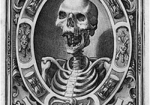 Coloriage De Franky andrade Portal tod Wikiwand