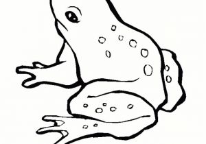Coloriage De Grenouille à Imprimer Coloriage Grenouille à Découper Dessin Gratuit à Imprimer