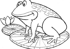 Coloriage De Grenouille à Imprimer En Direct Du Seren I Coloriages Pour Enfants