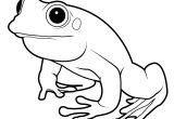 Coloriage De Grenouille à Imprimer Ment Dessiner Une Grenouille