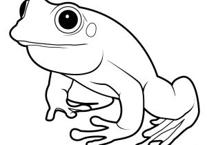 Coloriage De Grenouille à Imprimer Ment Dessiner Une Grenouille