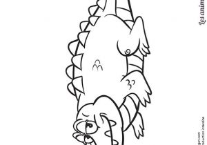 Coloriage De Guépard 100 Best Alligators Snakes Images by Michelle Wicker On