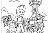 Coloriage De Guépard Zuma and Skye Paw Patrol Coloring Pages