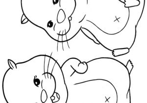Coloriage De Hamster A Imprimer 17 Dessins De Coloriage Hamster A Imprimer Gratuit   Imprimer