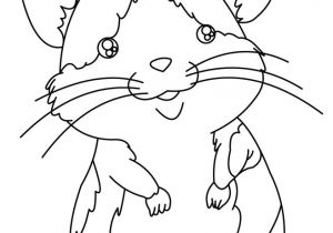 Coloriage De Hamster A Imprimer Coloriages De Hamsters Coloriages Coloriage   Imprimer Gratuit