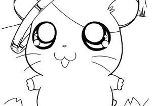 Coloriage De Hamster A Imprimer Hamster 45 Animaux – Coloriages   Imprimer