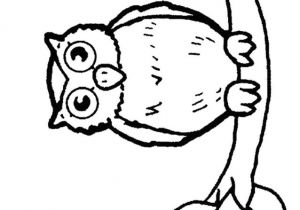 Coloriage De Hiboux A Imprimer 24 Dessins De Coloriage Hibou à Imprimer