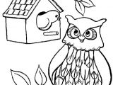 Coloriage De Hiboux A Imprimer Hibou Arbre Coloriage De Hiboux Coloriages Pour Enfants