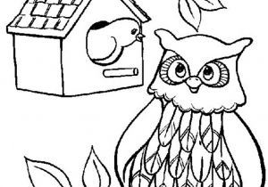 Coloriage De Hiboux A Imprimer Hibou Arbre Coloriage De Hiboux Coloriages Pour Enfants