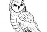 Coloriage De Hiboux A Imprimer Hibou Coloriage De Hiboux Coloriages Pour Enfants