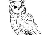 Coloriage De Hiboux A Imprimer Hibou Coloriage De Hiboux Coloriages Pour Enfants