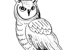 Coloriage De Hiboux A Imprimer Hibou Coloriage De Hiboux Coloriages Pour Enfants