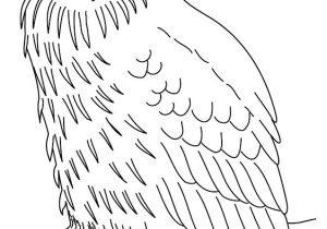 Coloriage De Hiboux A Imprimer Nos Jeux De Coloriage Hibou à Imprimer Gratuit Page 2 Of 4