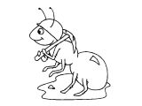 Coloriage De La Cigale Et La Fourmi Coloriage Fourmi A Imprimer Gratuit