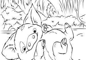 Coloriage De La Fée Clochette A Imprimer Gratuit Meilleur De Coloriage Vaiana A Imprimer