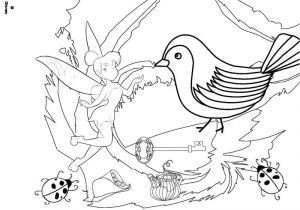 Coloriage De La Fee Clochette Et Ses Amis A Imprimer Coloriage Page 3