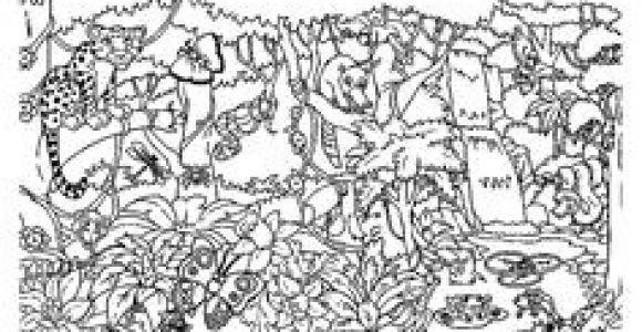 Coloriage De La foret 77 Meilleures Images Du Tableau Coloriages