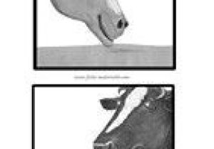 Coloriage De La Petite Taupe Qui Voulait Savoir La Petite Taupe