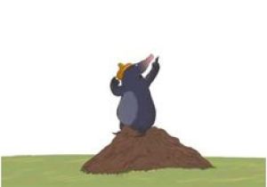 Coloriage De La Petite Taupe Qui Voulait Savoir La Petite Taupe