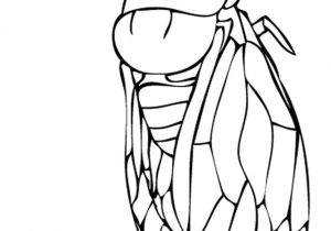 Coloriage De La Schtroumpfette Coloriage Cigale à Imprimer Gratuitement