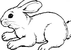Coloriage De Lapin Belier Coloriage Lapin Kawai Mange Des Nouilles En Ligne Gratuit