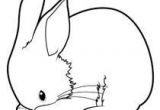 Coloriage De Lapin Belier Dessin D Un Lapin Facile