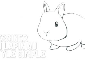 Coloriage De Lapin Belier Dessin Facile Lapin Mignon