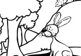 Coloriage De Lapin Calin Coloriage De Lapin Calin Ohbqfo