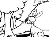 Coloriage De Lapin Calin Coloriage De Lapin Calin Ohbqfo