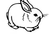 Coloriage De Lapin Calin Coloriage De Lapin Calin Ohbqfo