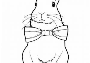 Coloriage De Lapin Calin Pixel Art Lapin Mignon Favori Coloriage De Lapin Fresh