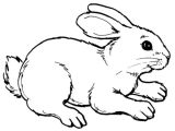 Coloriage De Lapin Mignon A Imprimer Coloriage Lapin Mignon 13 Dessin Gratuit à Imprimer