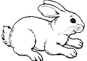 Coloriage De Lapin Mignon A Imprimer Coloriage Lapin Mignon 13 Dessin Gratuit à Imprimer