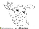 Coloriage De Lapin Mignon A Imprimer 【top 50 】 Coloriage De Lapin Trop Mignon A Imprimer