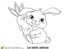 Coloriage De Lapin Mignon A Imprimer 【top 50 】 Coloriage De Lapin Trop Mignon A Imprimer