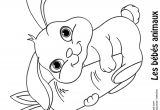 Coloriage De Lapin Trop Mignon A Imprimer Coloriage Lapin Trop Mignon