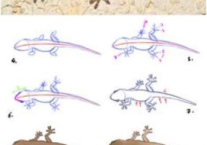 Coloriage De Lezard A Imprimer 108 Meilleures Images Du Tableau Dessins D Animaux